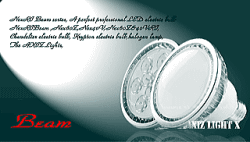 �r�[������ւk�d�c�d���E�o�d�q�R�W��ւk�d�c�d��[�r�[�����E�o�d�q�R�W]�y�k�d�c�d���r�[�����^�C�v�E�k�d�c�d���o�d�q�R�W�^�C�v�z